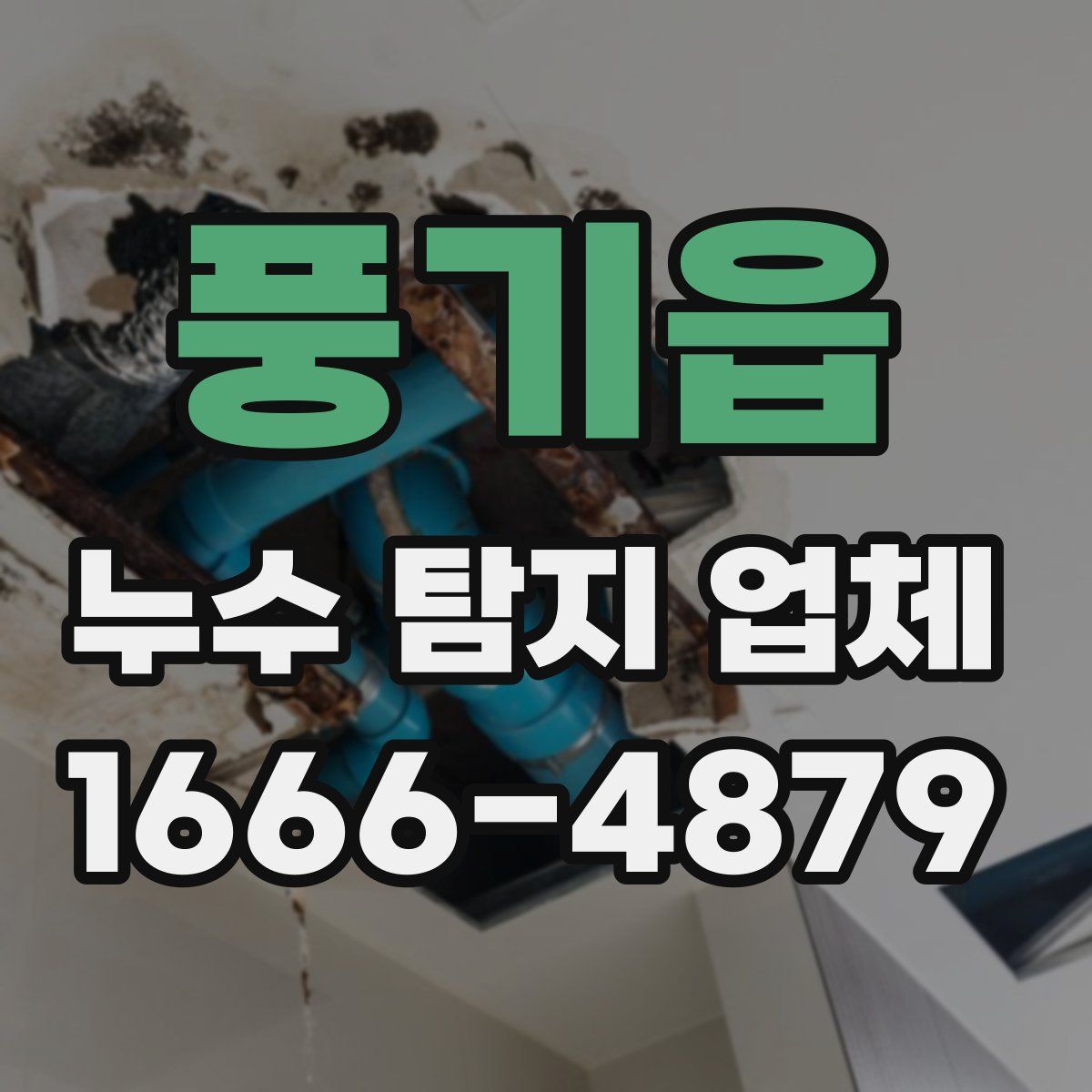풍기읍 누수 탐지 업체