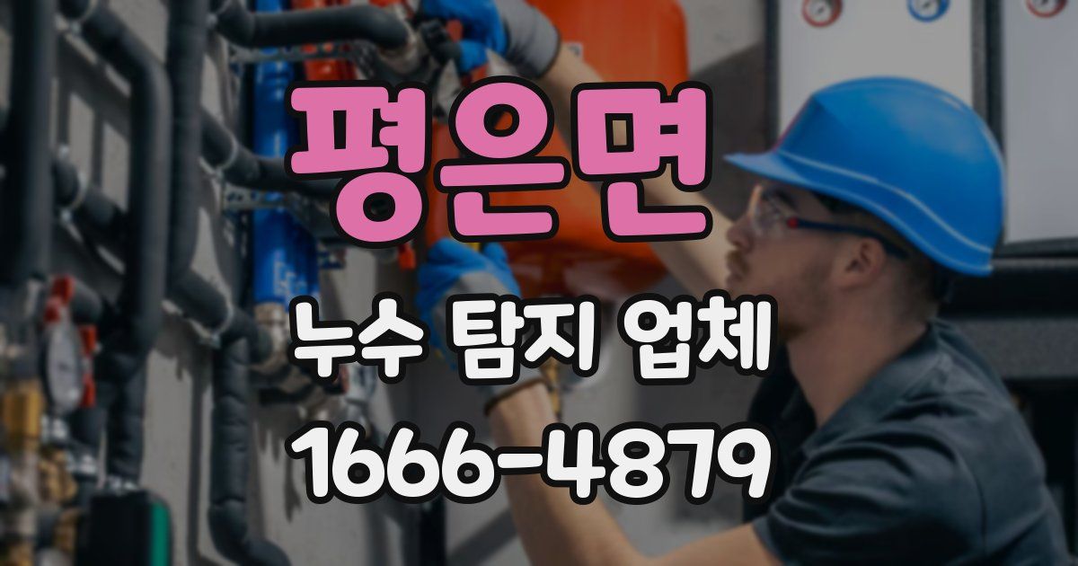 평은면 누수 탐지 업체