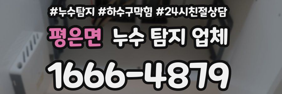 평은면 누수 탐지 업체