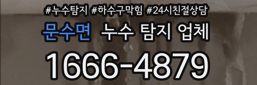 문수면 누수 탐지 업체