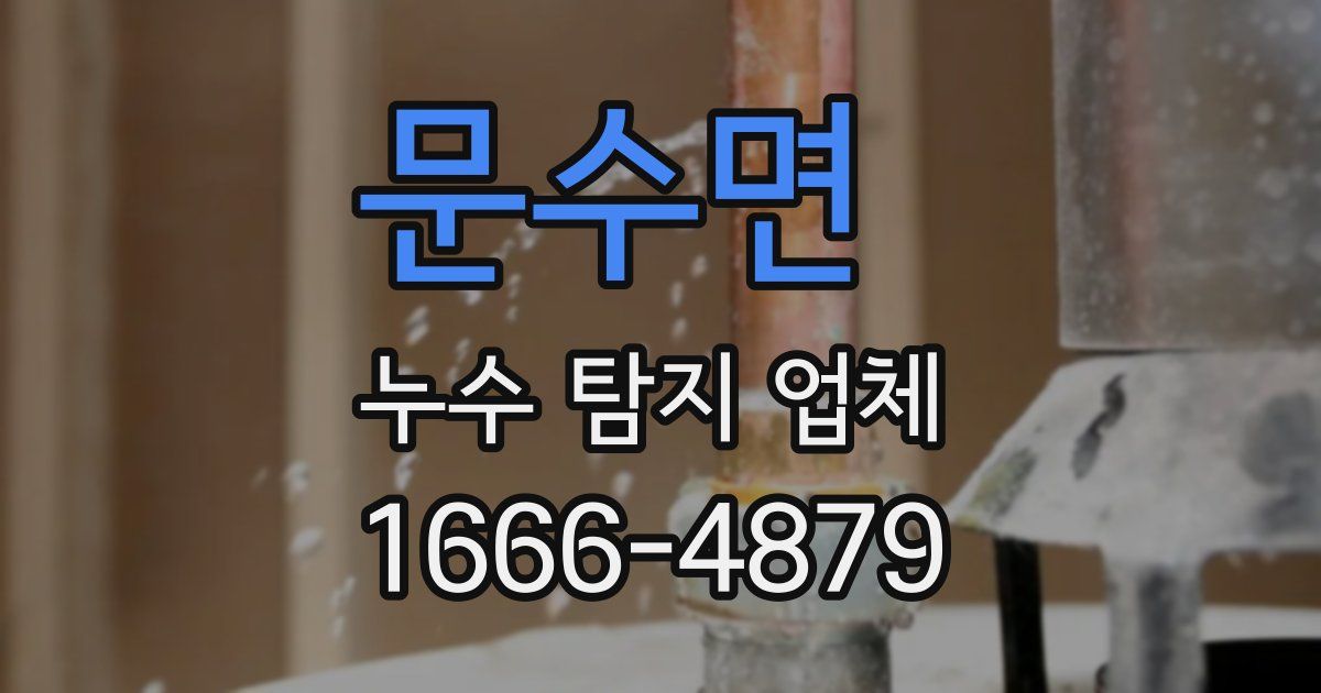 문수면 누수 탐지 업체