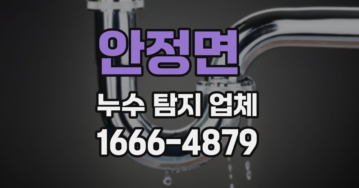 안정면 누수 탐지 업체