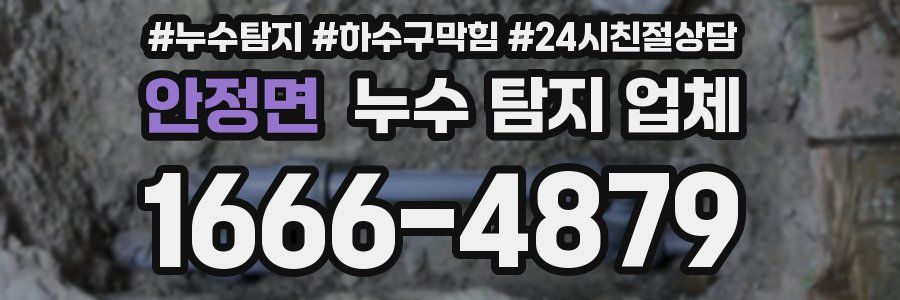 안정면 누수 탐지 업체