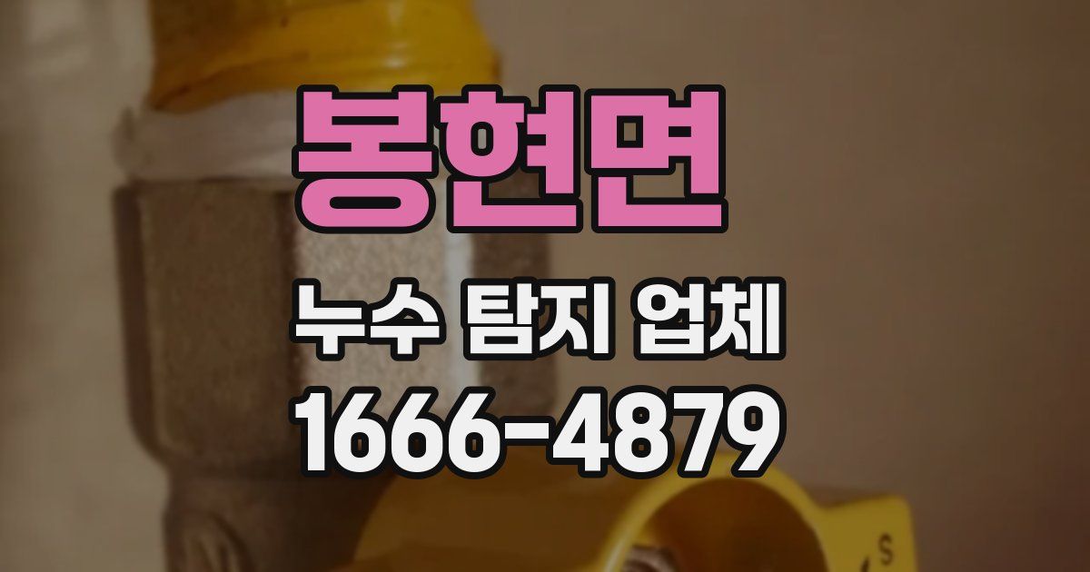 봉현면 누수 탐지 업체