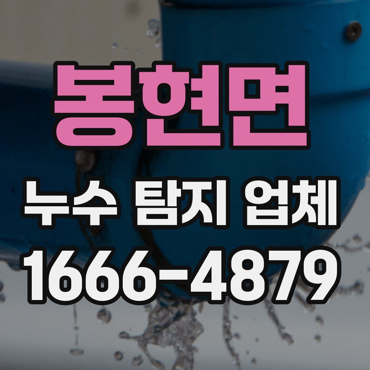 봉현면 누수 탐지 업체