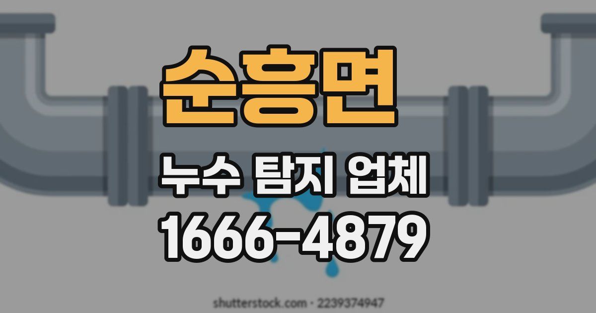 순흥면 누수 탐지 업체