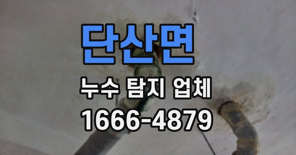 단산면 누수 탐지 업체