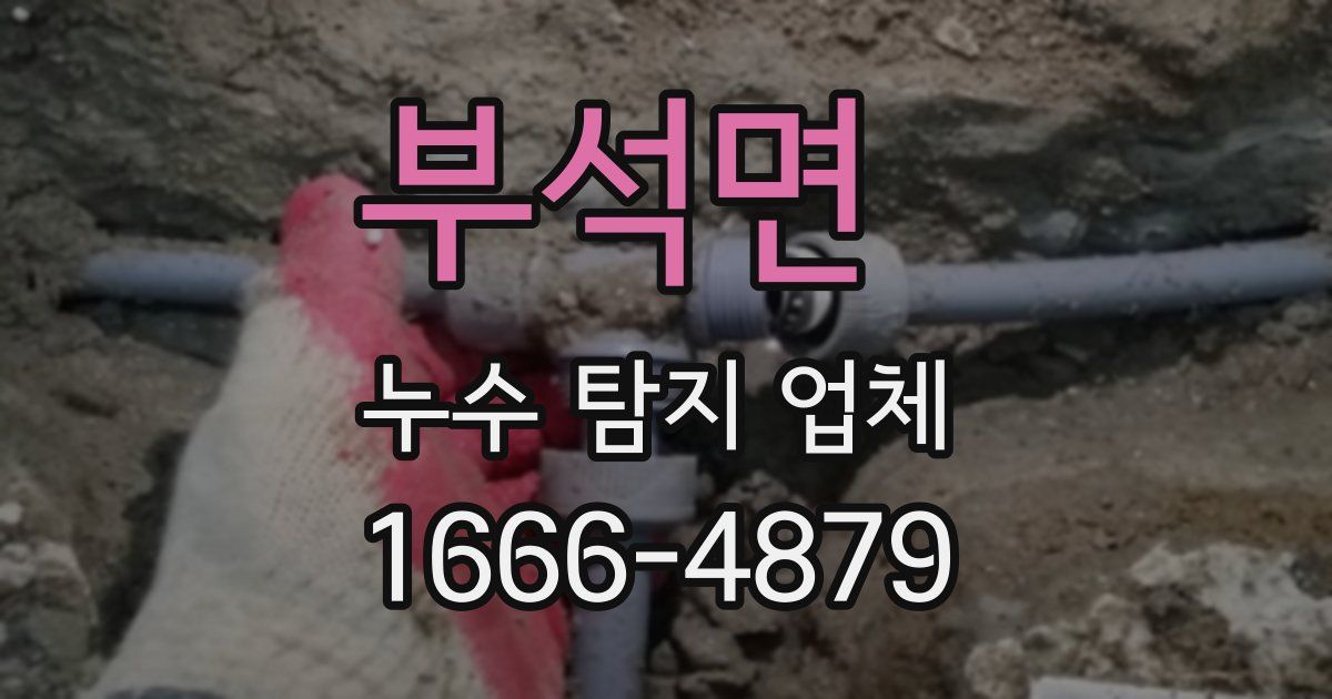 부석면 누수 탐지 업체