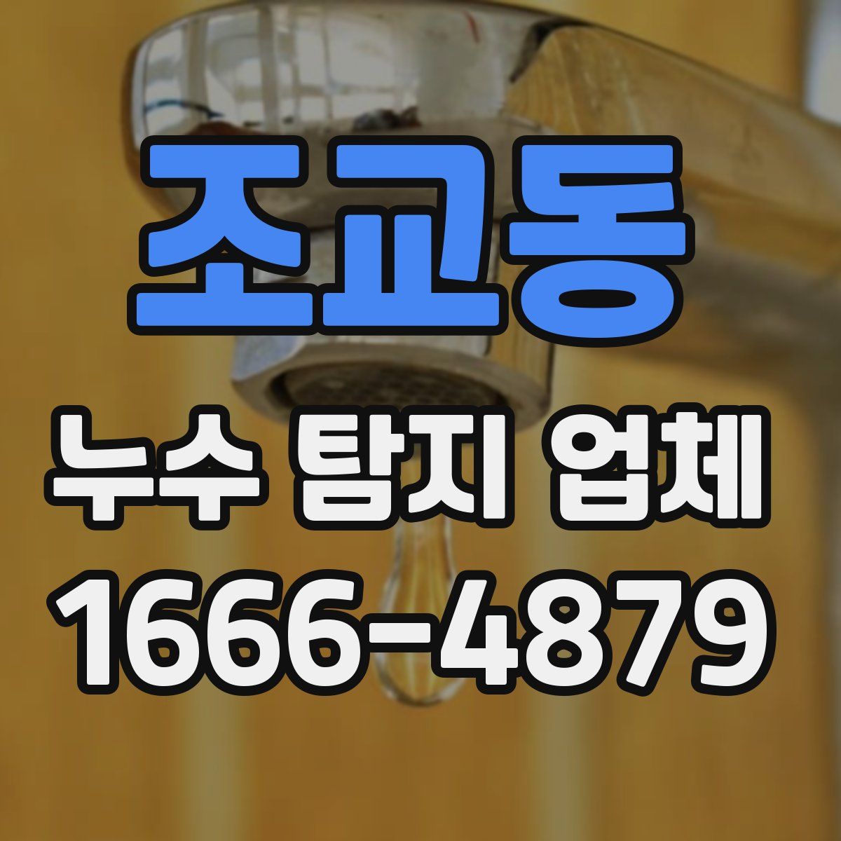 조교동 누수 탐지 업체