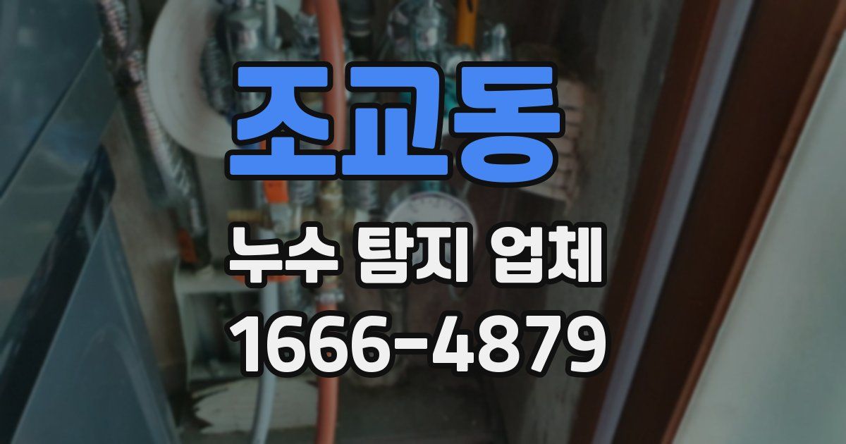 조교동 누수 탐지 업체