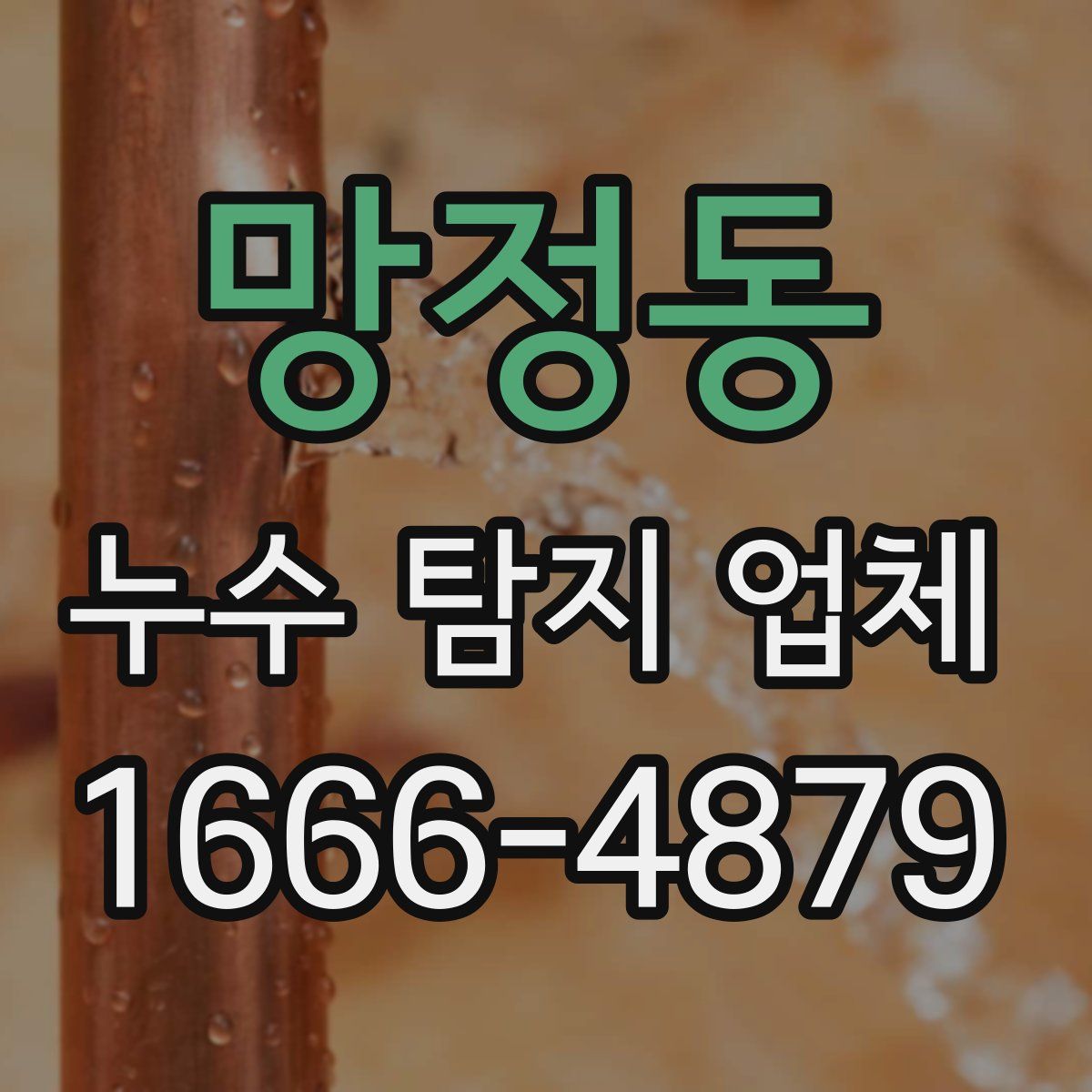 망정동 누수 탐지 업체