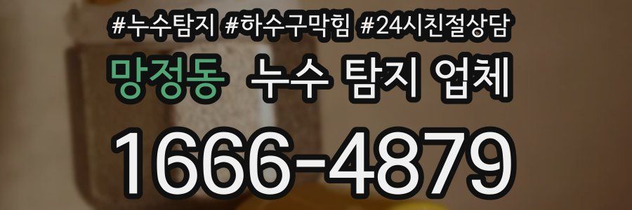 망정동 누수 탐지 업체