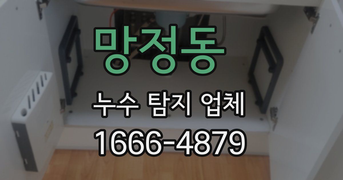 망정동 누수 탐지 업체
