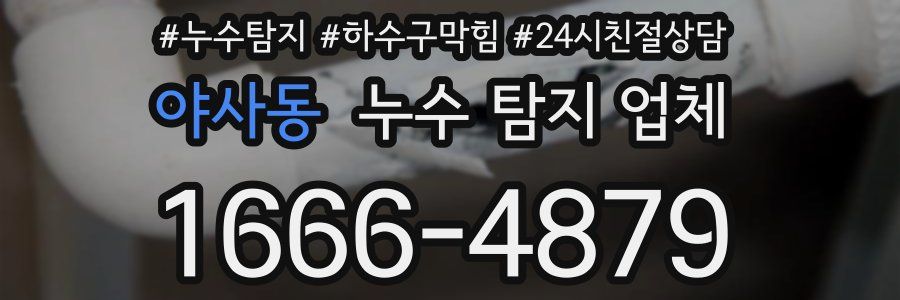 야사동 누수 탐지 업체