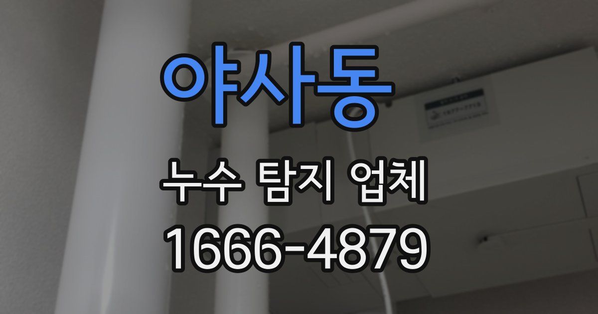 야사동 누수 탐지 업체