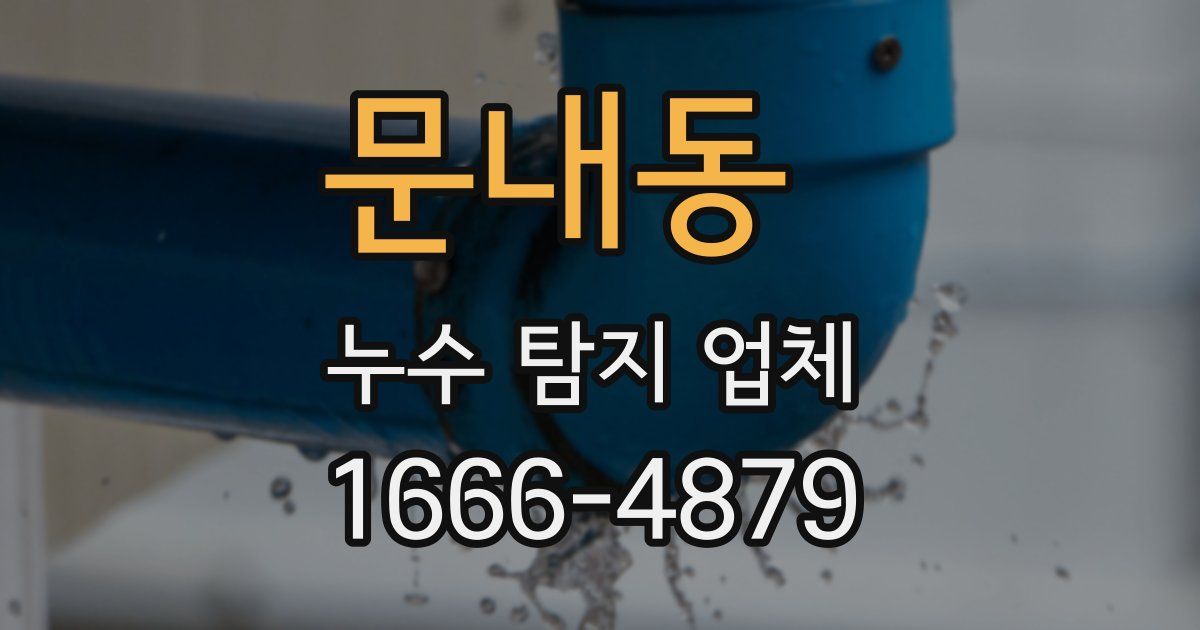 문내동 누수 탐지 업체