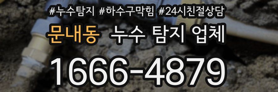 문내동 누수 탐지 업체