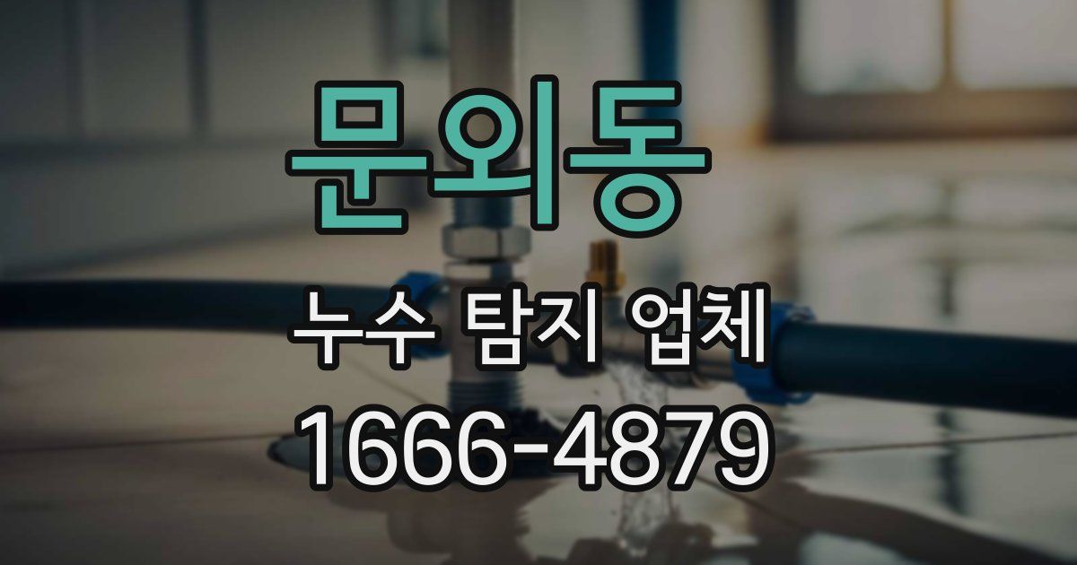 문외동 누수 탐지 업체