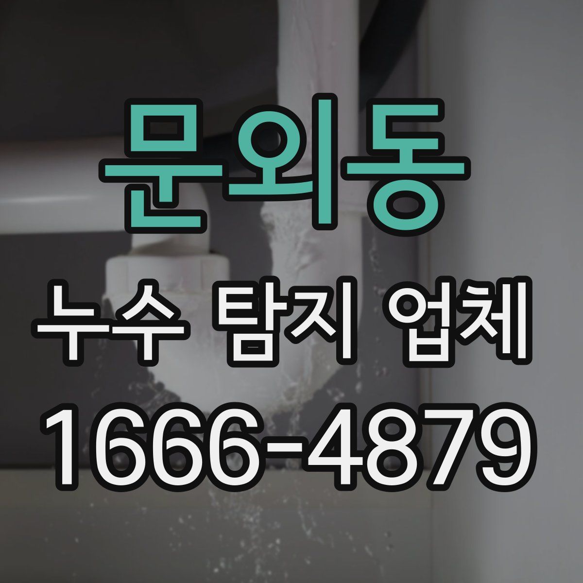 문외동 누수 탐지 업체