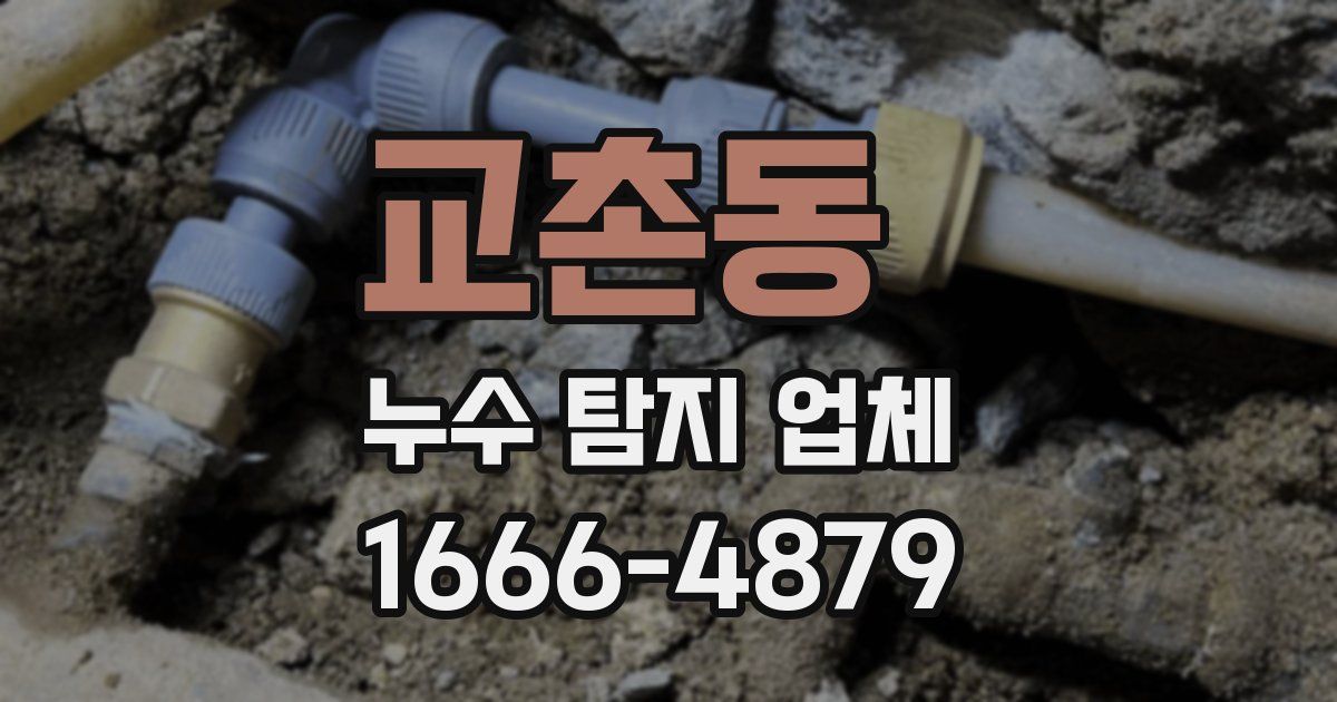 교촌동 누수 탐지 업체