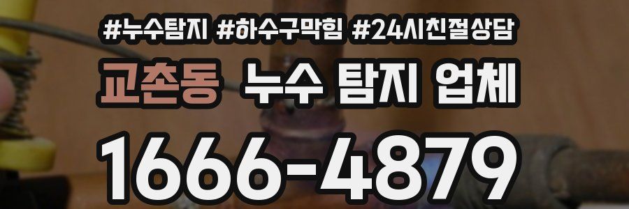 교촌동 누수 탐지 업체
