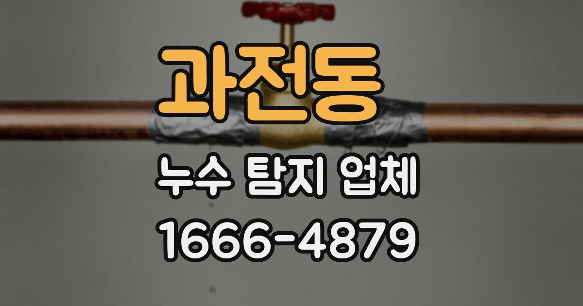과전동 누수 탐지 업체