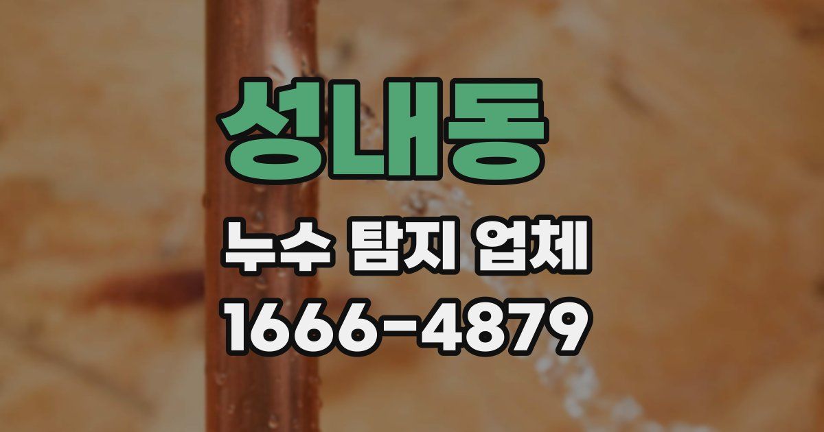성내동 누수 탐지 업체