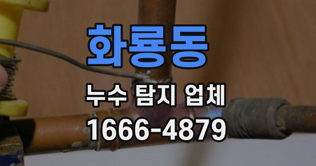 화룡동 누수 탐지 업체