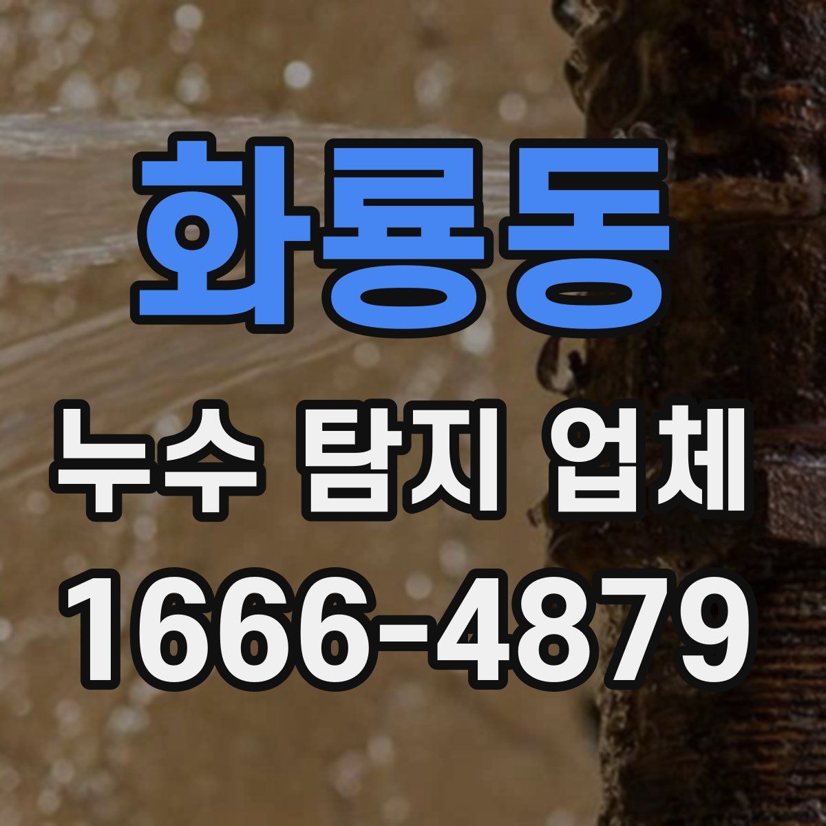 화룡동 누수 탐지 업체