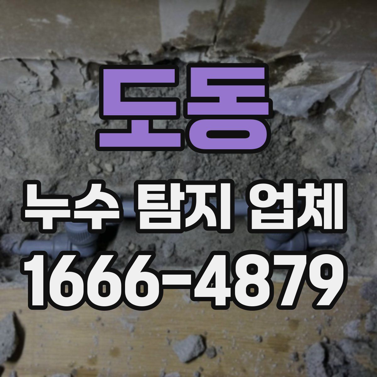 도동 누수 탐지 업체