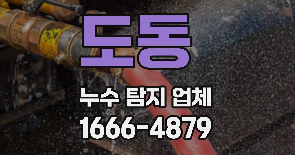 도동 누수 탐지 업체