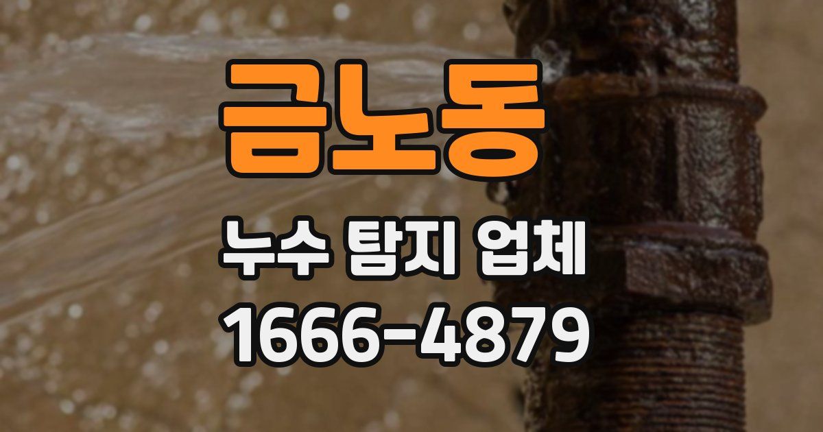 금노동 누수 탐지 업체