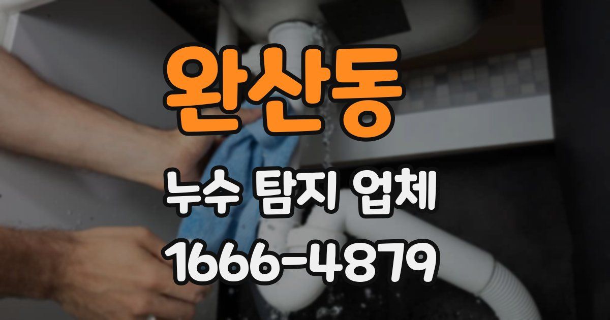 완산동 누수 탐지 업체