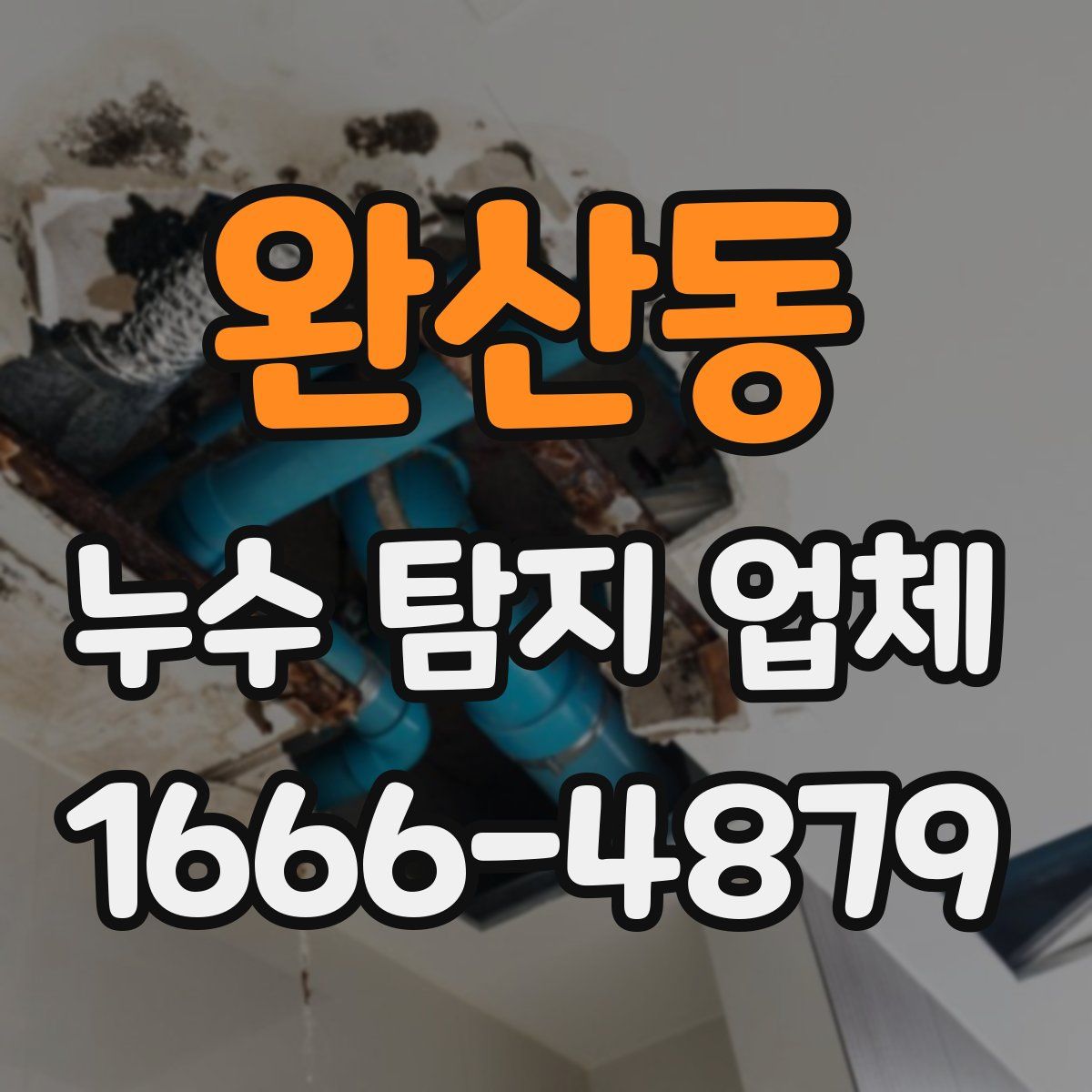 완산동 누수 탐지 업체