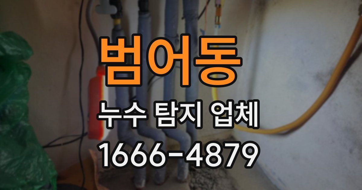 범어동 누수 탐지 업체