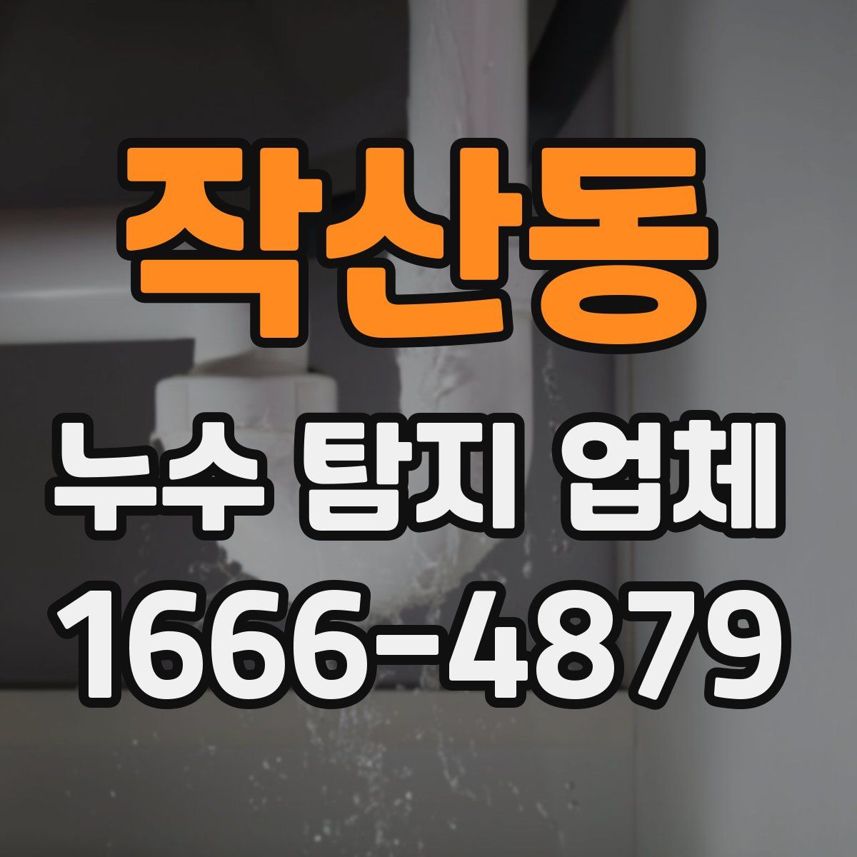 작산동 누수 탐지 업체