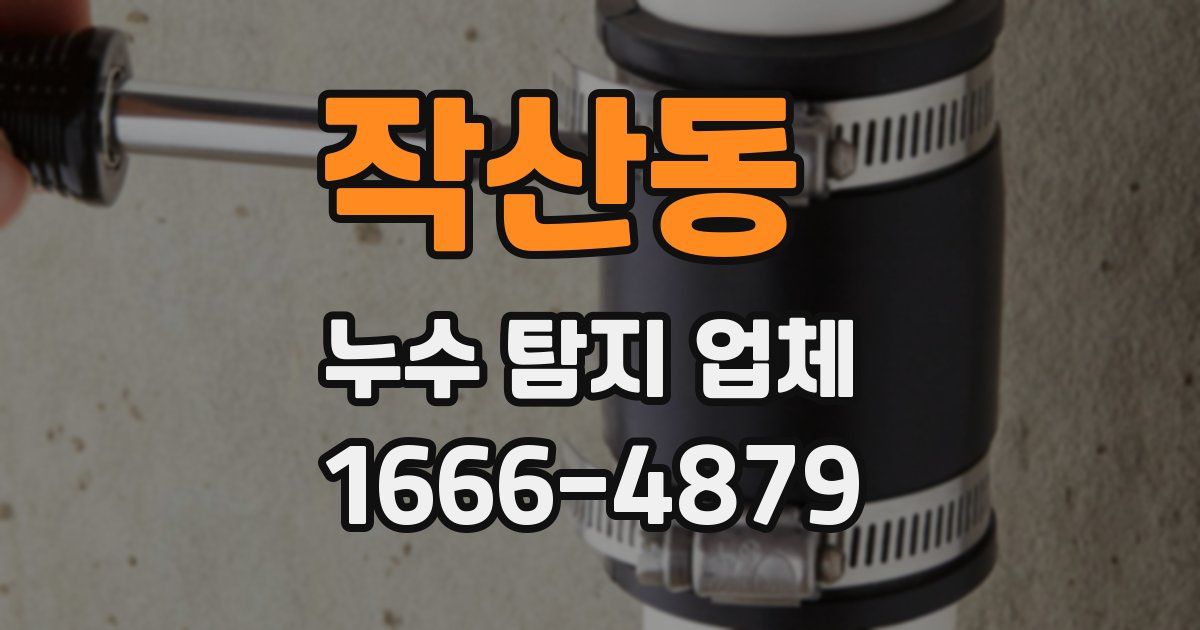 작산동 누수 탐지 업체