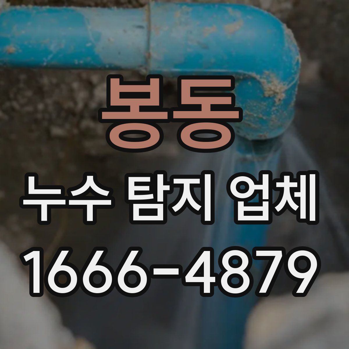 봉동 누수 탐지 업체
