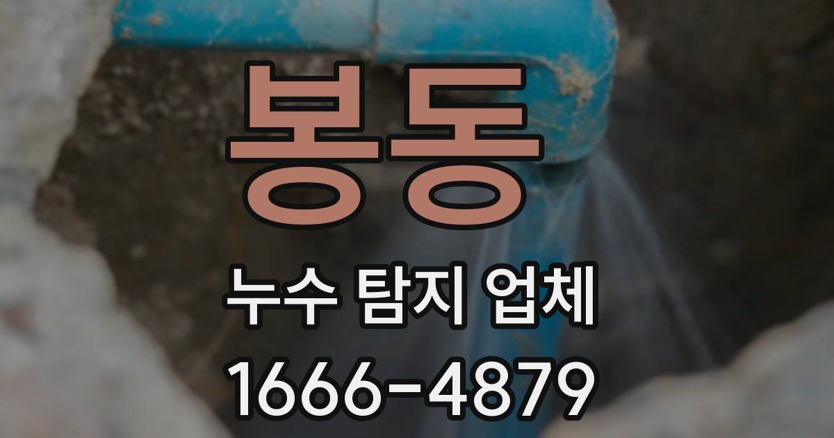 봉동 누수 탐지 업체