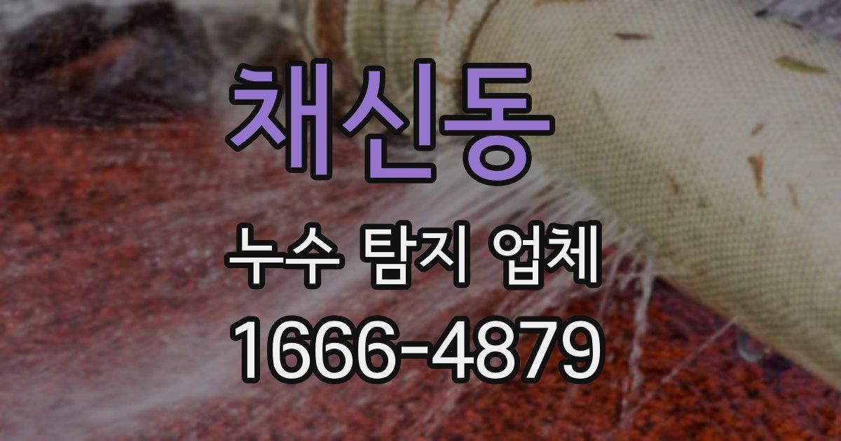 채신동 누수 탐지 업체