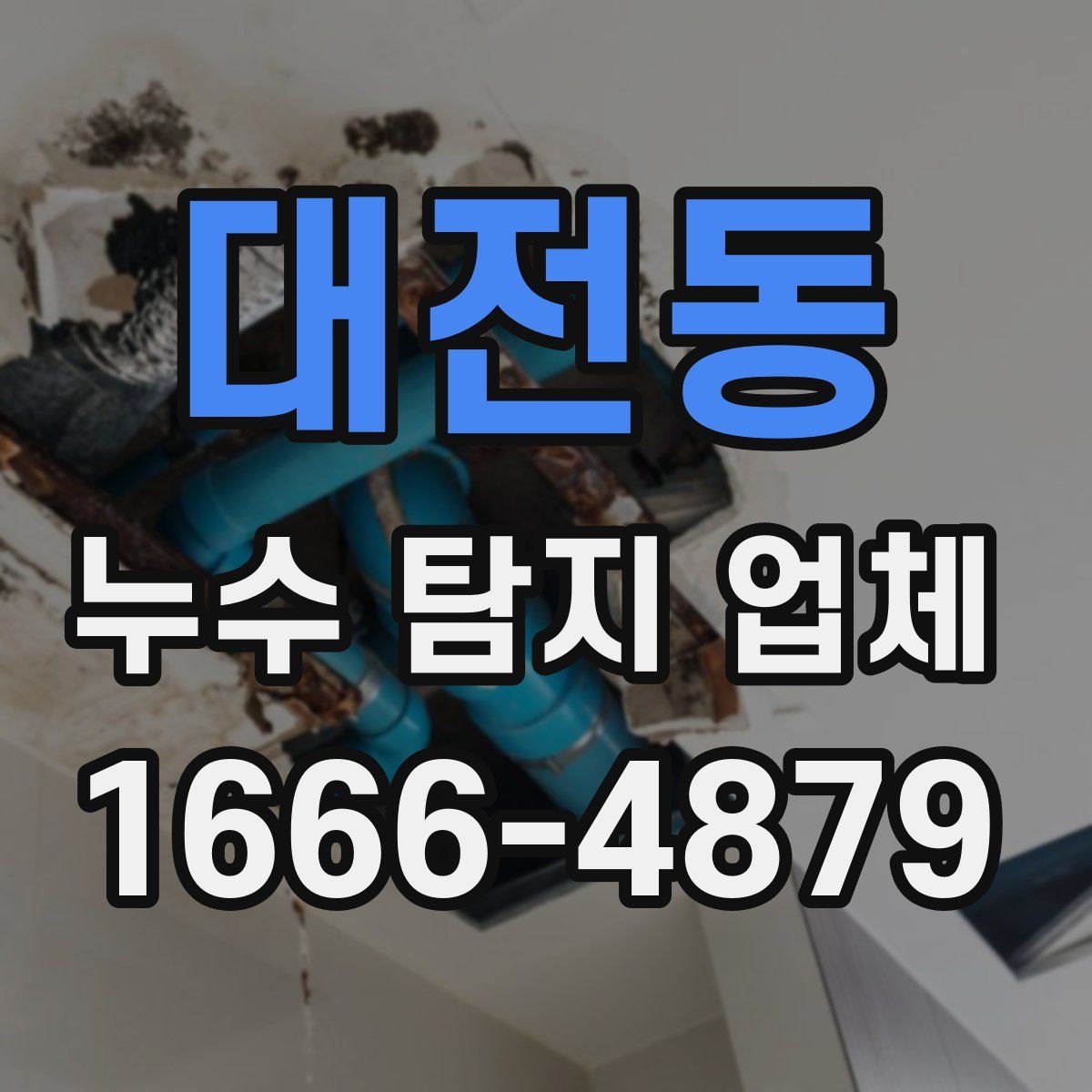 대전동 누수 탐지 업체