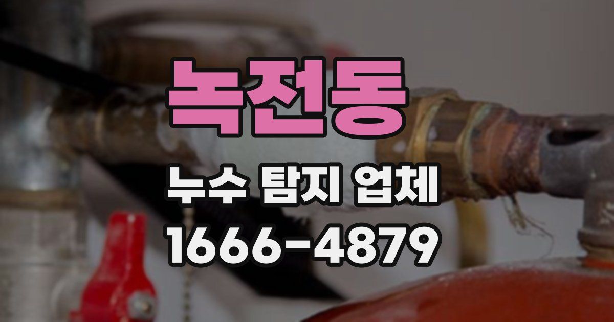 녹전동 누수 탐지 업체