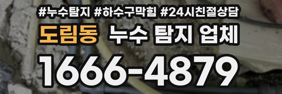도림동 누수 탐지 업체
