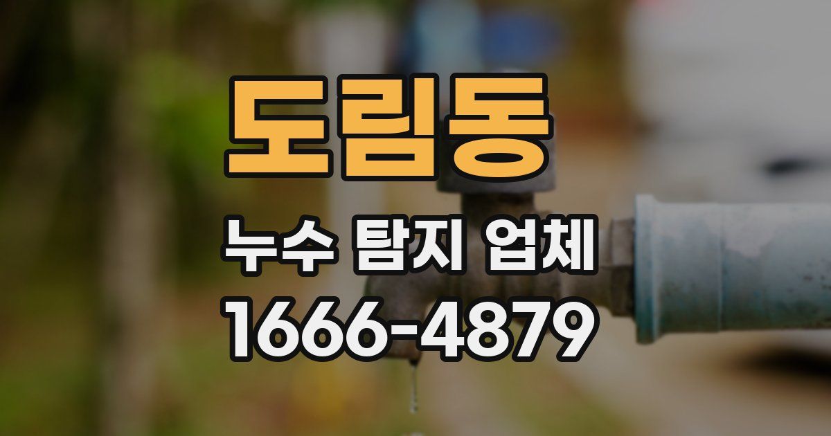 도림동 누수 탐지 업체
