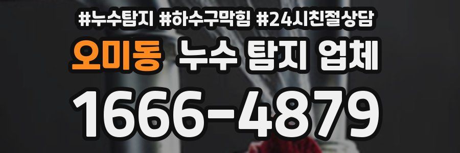 오미동 누수 탐지 업체