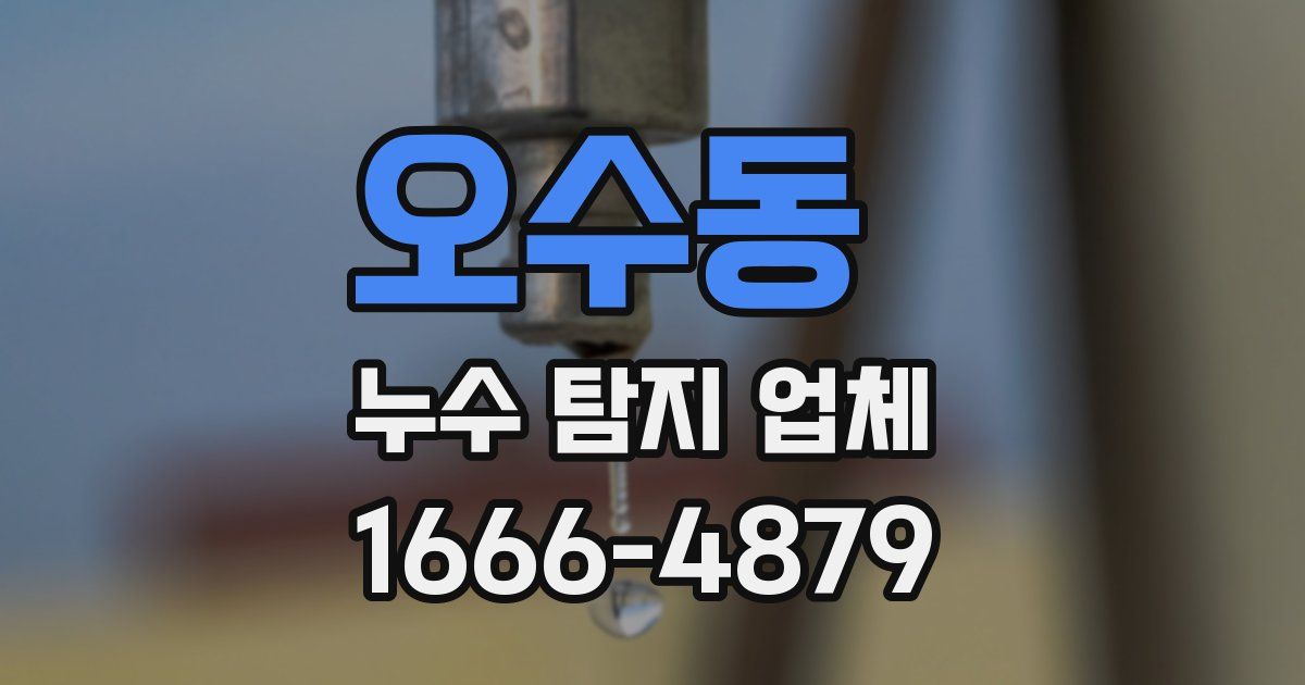 오수동 누수 탐지 업체