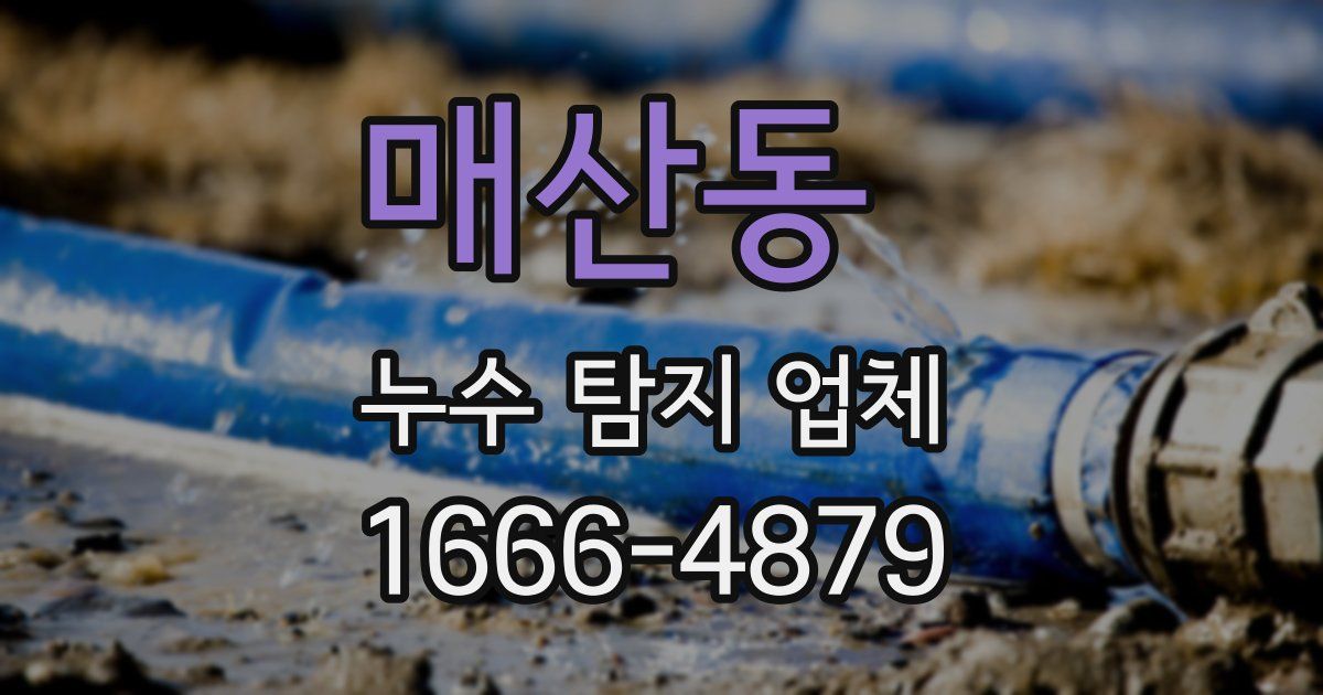 매산동 누수 탐지 업체