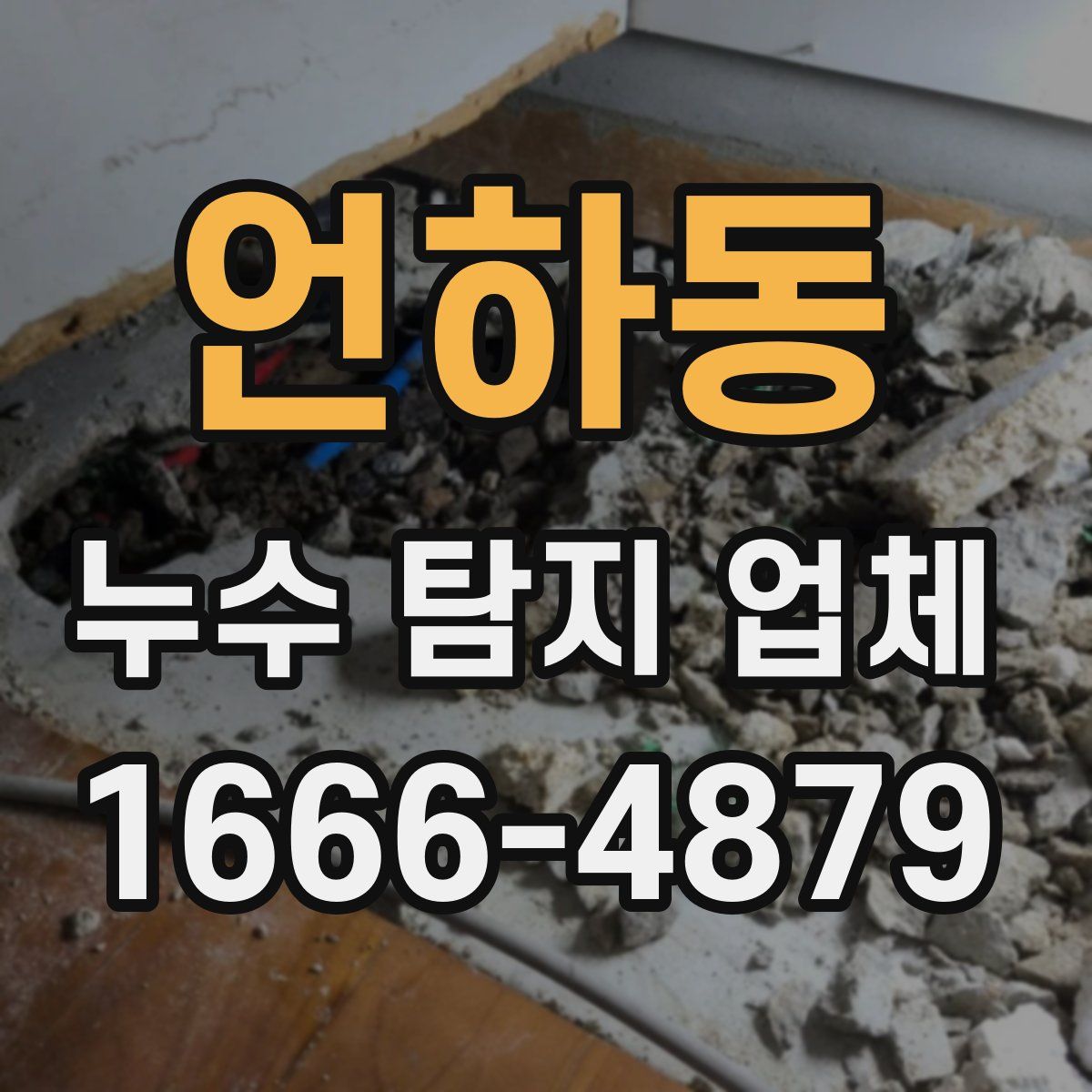언하동 누수 탐지 업체