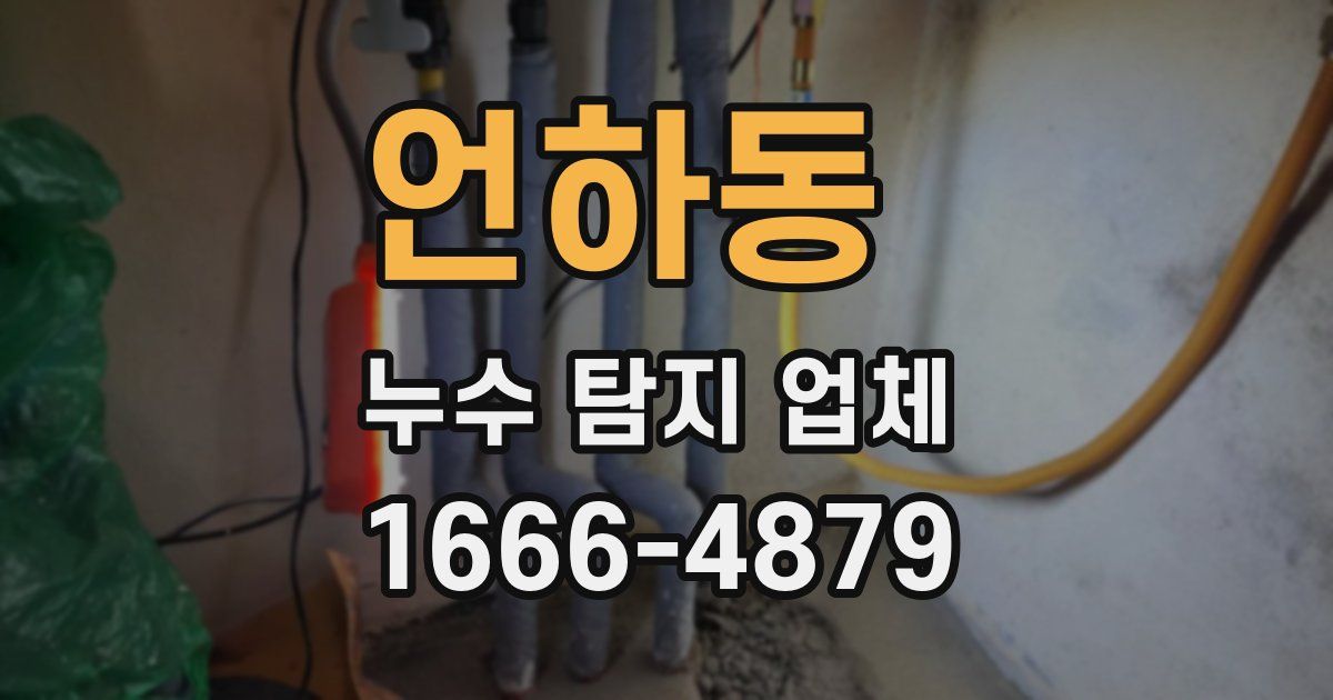 언하동 누수 탐지 업체