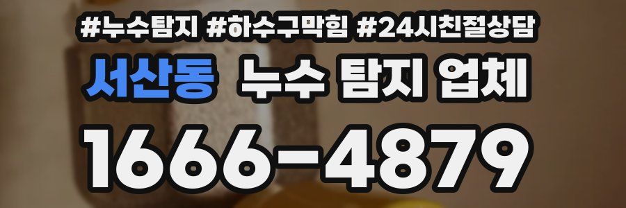서산동 누수 탐지 업체